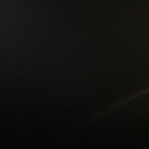 Meet your Posher, Janice